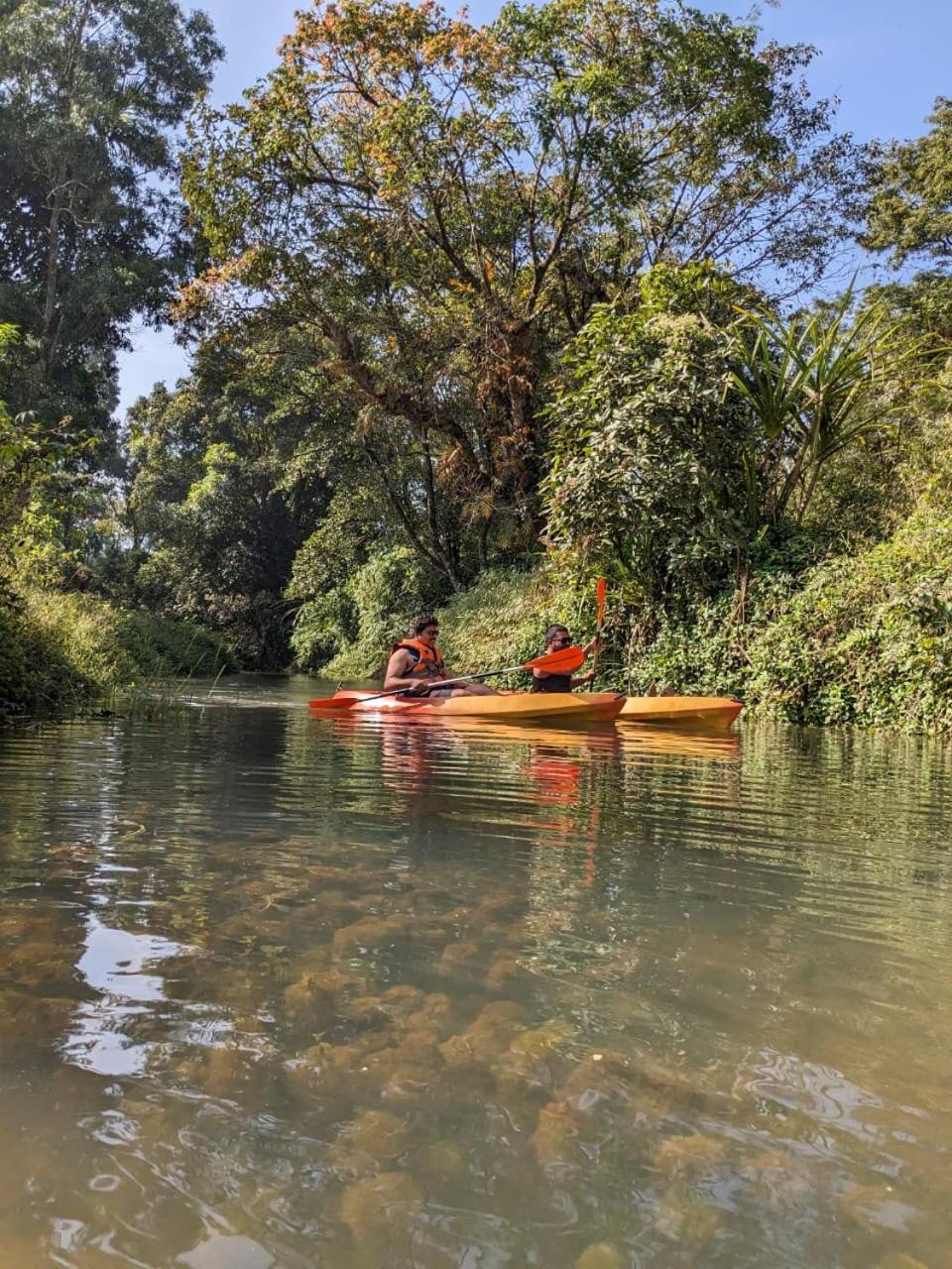 Nature Spot Cottages Coorg Kurchi 외부 사진